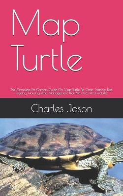 Book cover for Map Turtle