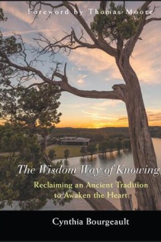 Cover of The Wisdom Way of Knowing - Reclaiming An Ancient Tradition to Awaken the Heart