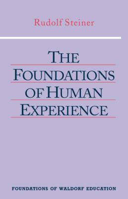 Cover of The Foundations of Human Experience