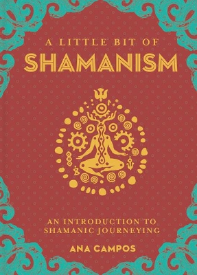 Book cover for Little Bit of Shamanism, A