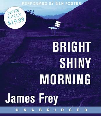 Book cover for Bright Shiny Morning Low Price CD