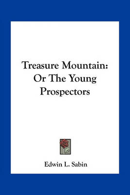 Book cover for Treasure Mountain