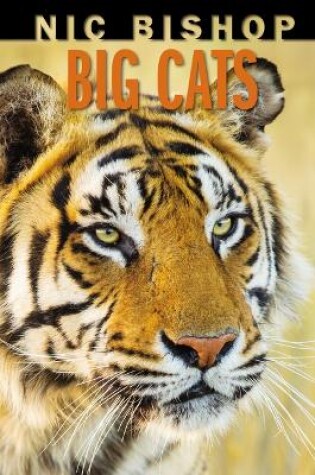 Cover of Nic Bishop Big Cats