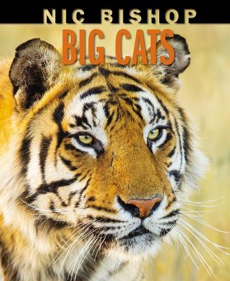 Book cover for Nic Bishop Big Cats