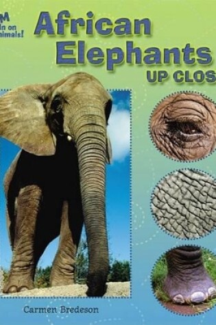 Cover of African Elephants Up Close