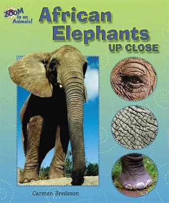 Cover of African Elephants Up Close