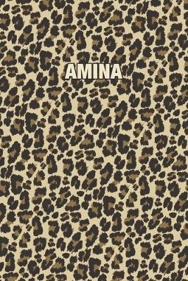 Book cover for Amina