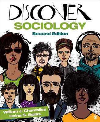 Book cover for Discover Sociology