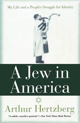 Book cover for Jew in America