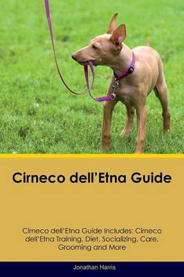 Book cover for Cirneco dell'Etna Guide Cirneco dell'Etna Guide Includes