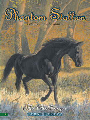 Book cover for Phantom Stallion #6: The Challenger