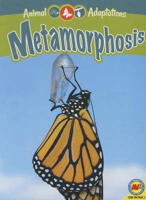 Cover of Metamorphosis