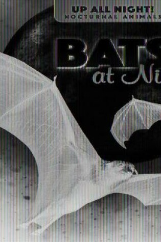Cover of Bats at Night