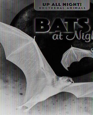 Book cover for Bats at Night