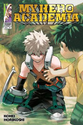 Book cover for My Hero Academia, Vol. 29
