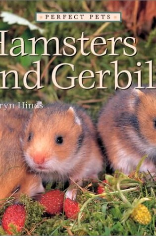 Cover of Hamsters and Gerbils