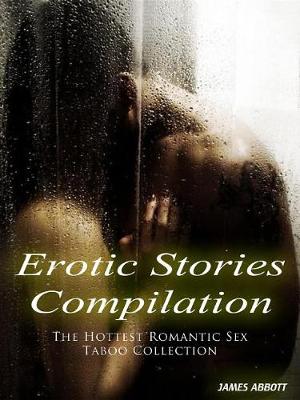 Book cover for Erotic Stories Compilation the Hottest Romantic Sex Taboo Collection