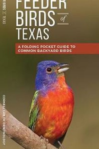Cover of Feeder Birds of Texas