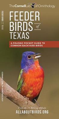 Cover of Feeder Birds of Texas