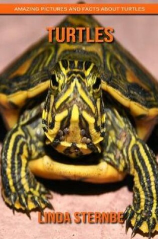 Cover of Turtles