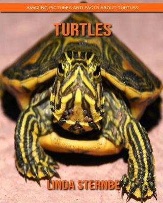 Book cover for Turtles