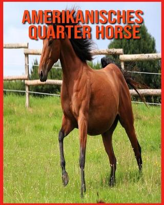 Book cover for Amerikanisches Quarter Horse