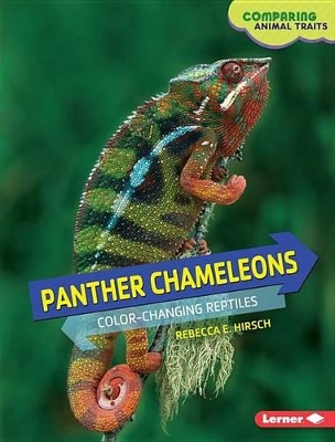 Book cover for Panther Chameleons