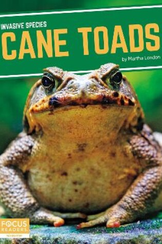 Cover of Invasive Species: Cane Toads