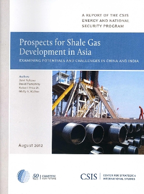 Book cover for Prospects for Shale Gas Development in Asia