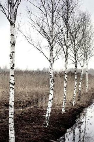 Cover of Beautiful Birch Trees on a Misty Winter Morning Journal