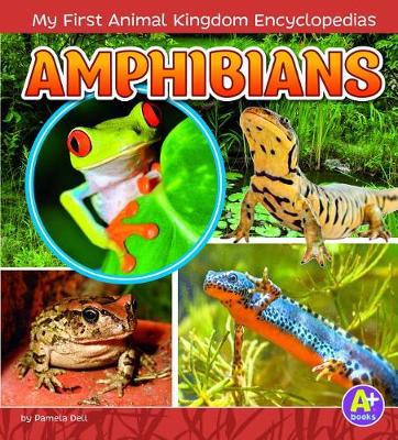 Book cover for Amphibians (My First Animal Kingdom Encyclopedias)