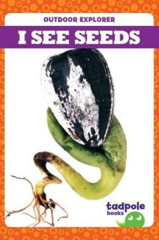 Cover of I See Seeds