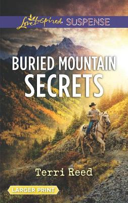 Book cover for Buried Mountain Secrets