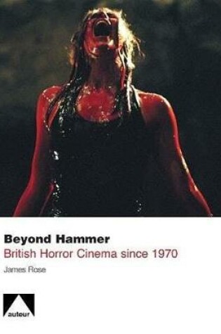 Cover of Beyond Hammer