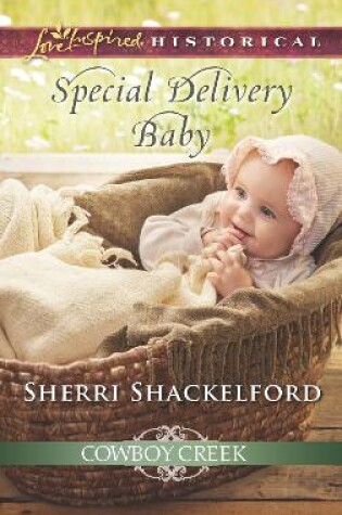 Cover of Special Delivery Baby