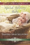 Book cover for Special Delivery Baby