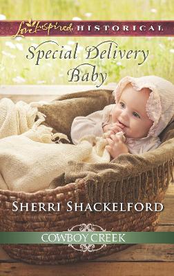 Book cover for Special Delivery Baby