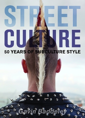 Book cover for Street Culture