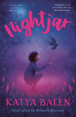 Book cover for Nightjar