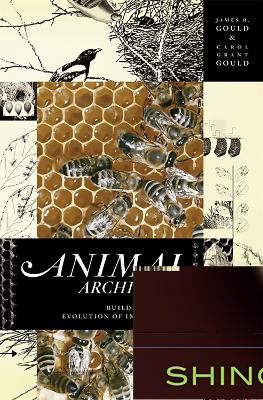 Book cover for Animal Architects