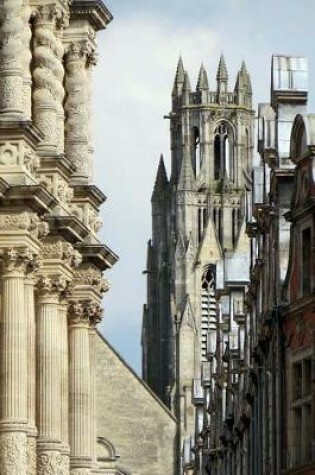 Cover of Arras Cathedral in France