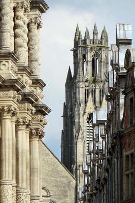 Book cover for Arras Cathedral in France