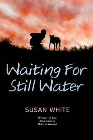 Cover of Waiting for Still Water