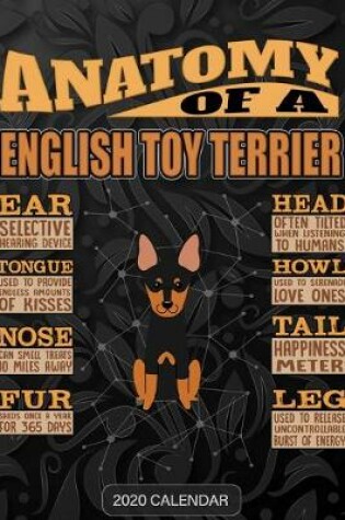 Cover of Anatomy Of A English Toy Terrier