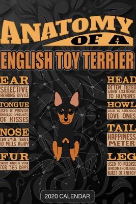 Book cover for Anatomy Of A English Toy Terrier