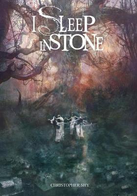 Book cover for I Sleep in Stone