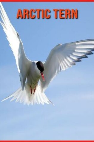 Cover of Arctic Tern