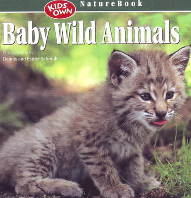 Book cover for Baby Wild Animals