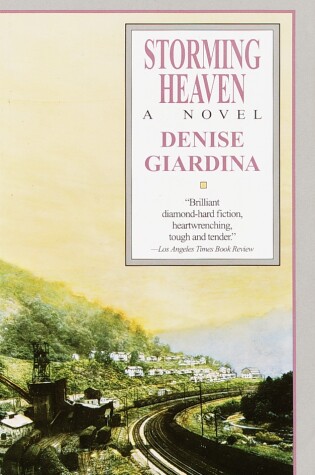 Cover of Storming Heaven