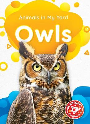 Cover of Owls